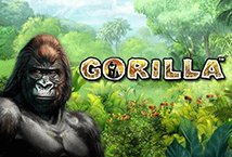 Gorilla slot